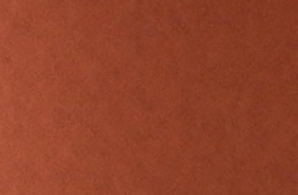 Tints 20529